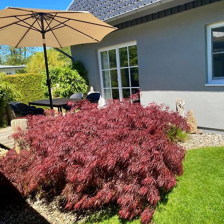 Ferienhaus Buhne 31 프레로 외부 사진